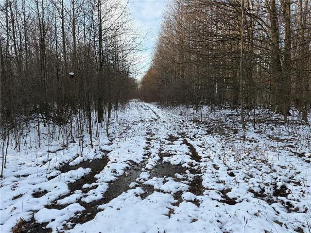 Property for sale in New Wilmington, Pennsylvania
