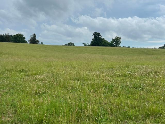 Land for sale in Tennessee
