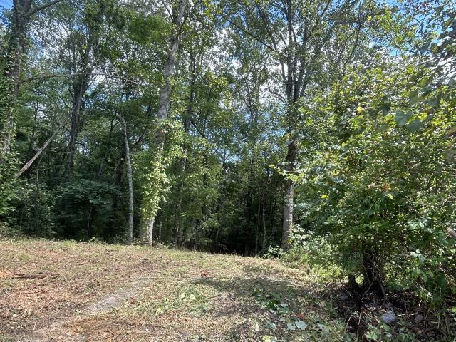 Land for sale in Tennessee