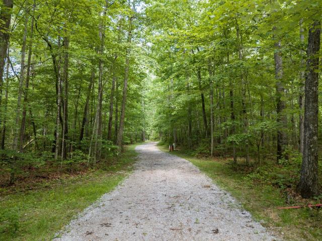 Land for sale in Tennessee