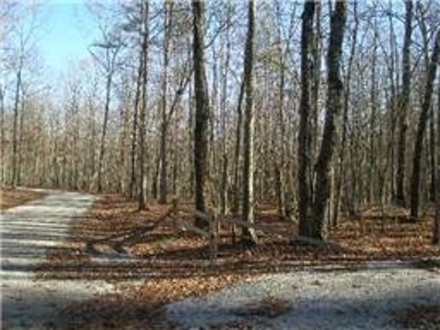 Land for sale in Tennessee
