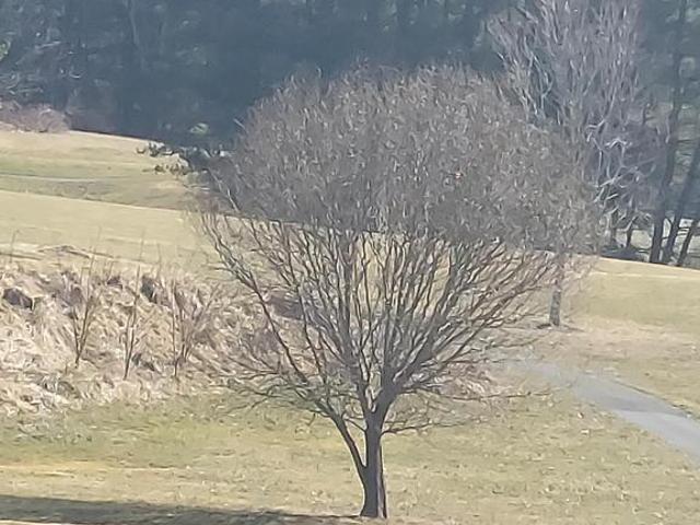 Land for sale in Virginia