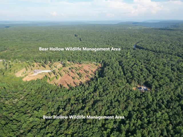 Land for sale in Middle Tennessee, Tennessee