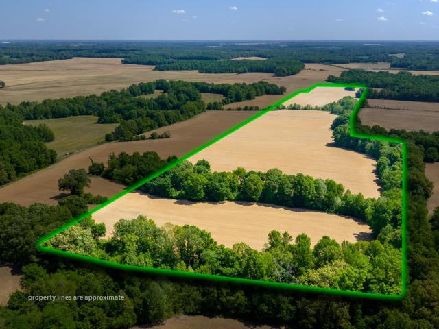 Land for sale in Tennessee