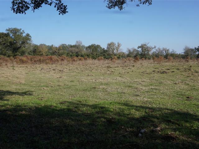Land for sale in Midway, Texas