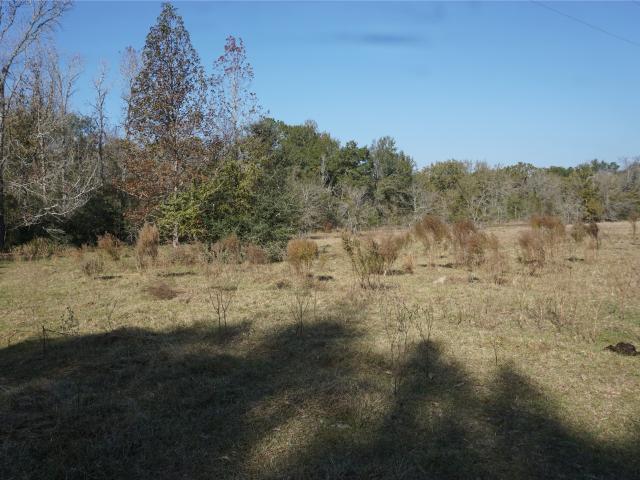 Land for sale in Midway, Texas