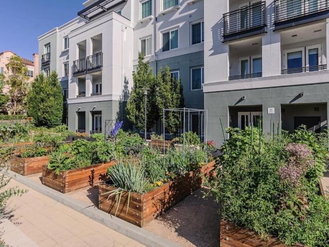 Apartment for rent in San Mateo, California
