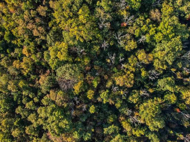 Land for sale in Kentucky