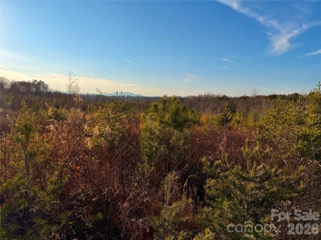 Land for sale in Rutherford, North Carolina