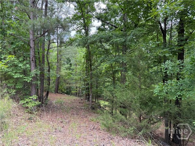 Land for sale in Elbert, Georgia