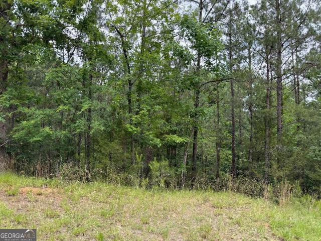 Land for sale in Elbert, Georgia