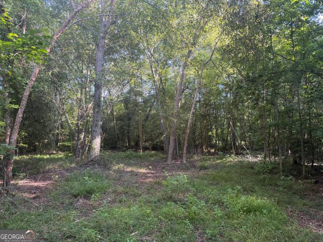Land for sale in Wilkinson, Georgia
