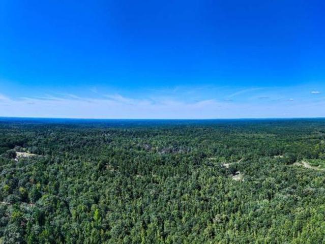 Land for sale in Greenville, Georgia