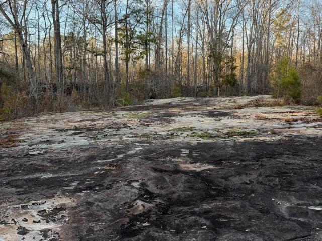 Land for sale in Greenville, Georgia