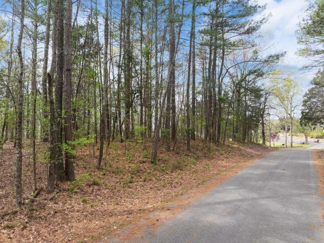 Land for sale in Tennessee
