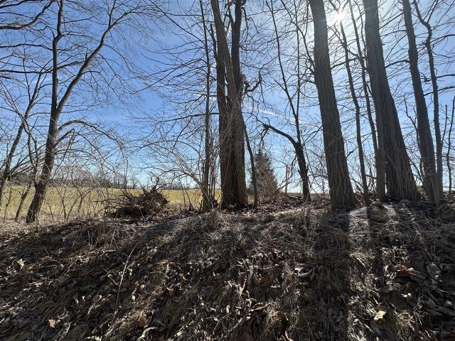Land for sale in Saline