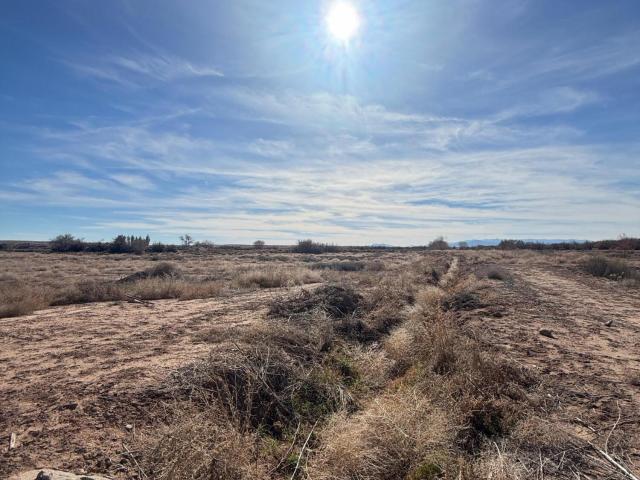 Land for sale in New Mexico