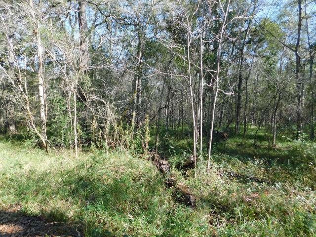 Land for sale in Damon, Texas