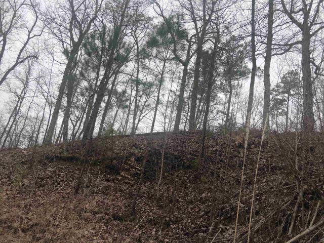 Land for sale in Tennessee