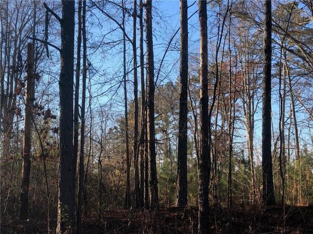 Land for sale in Mount Zion, Georgia