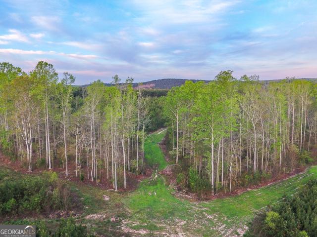 Land for sale in Mount Zion, Georgia