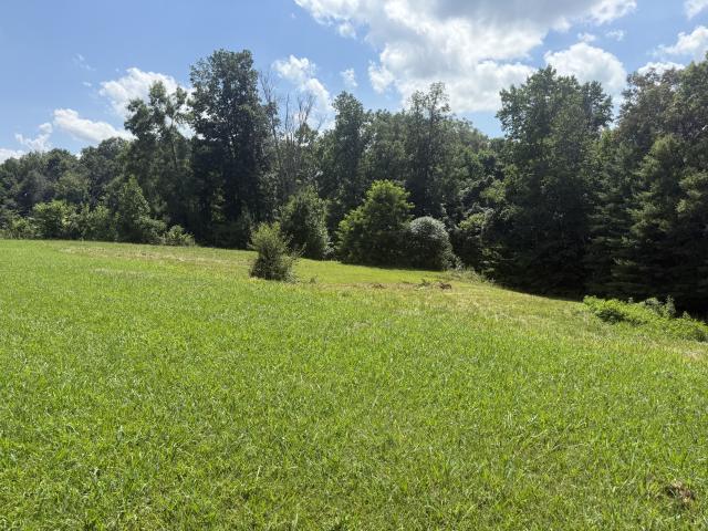 Land for sale in Tennessee