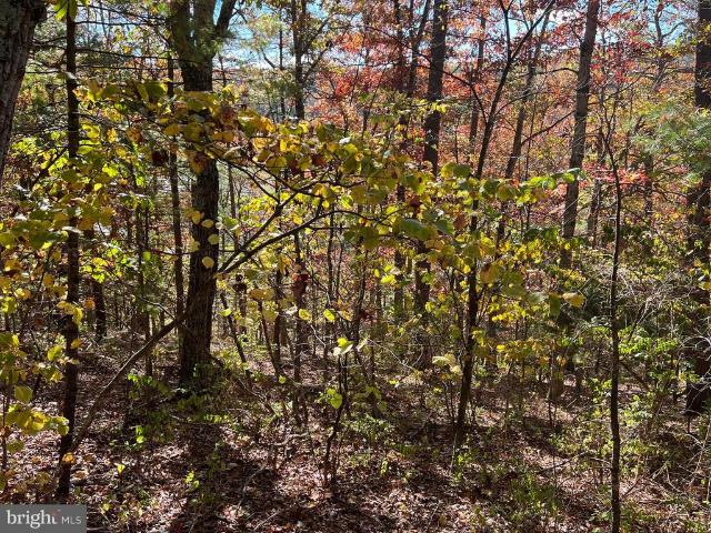 Land for sale in Virginia