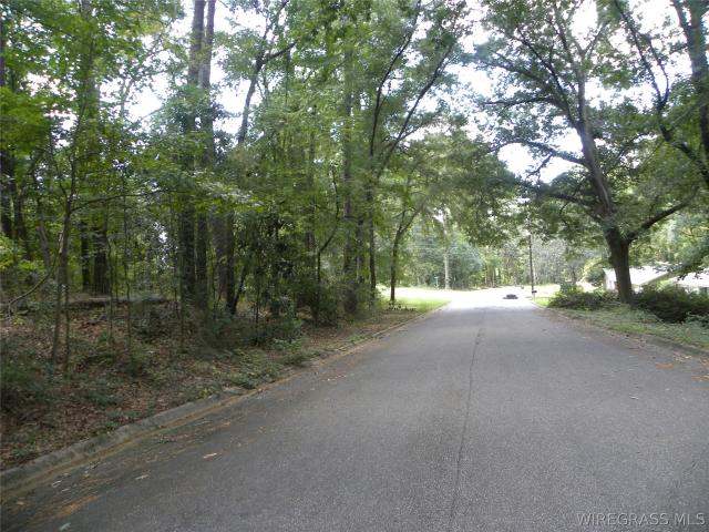Land for sale in Dale, Alabama