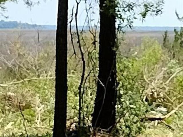 Land for sale in Darien, Georgia