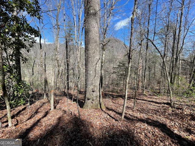 Land for sale in Tiger, Georgia