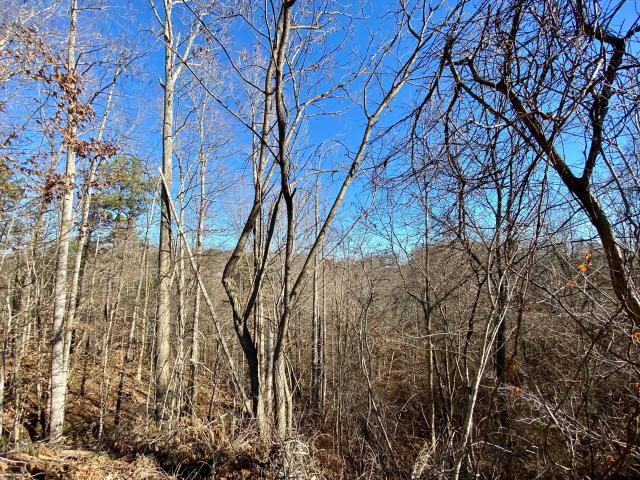 Land for sale in Somerset, Kentucky