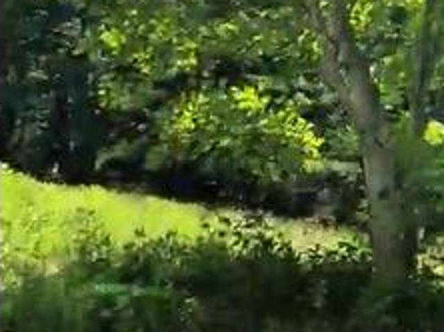 Land for sale in Tennessee