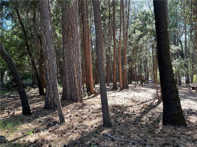 Land for sale in Butte, California