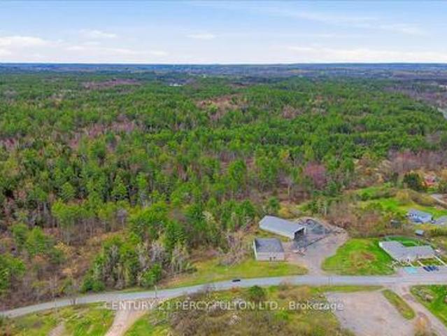 Land for sale in Actinolite, Tweed
