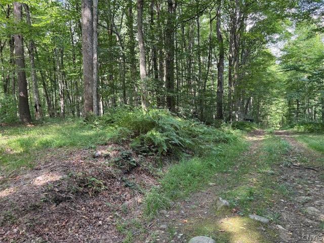 Land for sale in Oneida, New York
