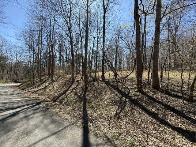 Land for sale in Tennessee