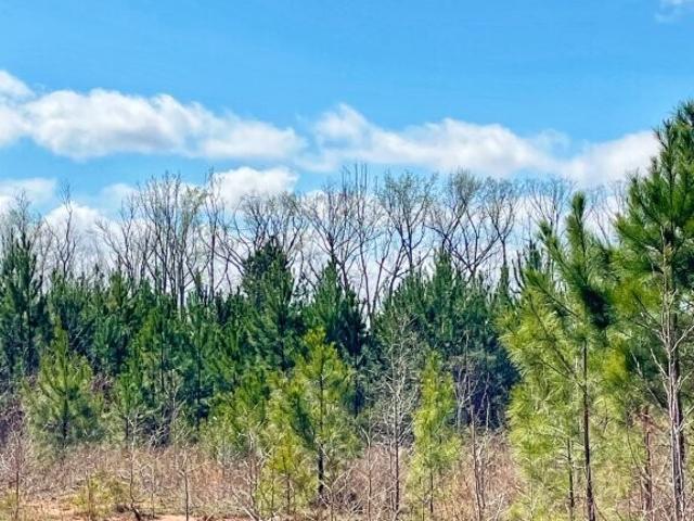 Land for sale in Barnesville, Georgia