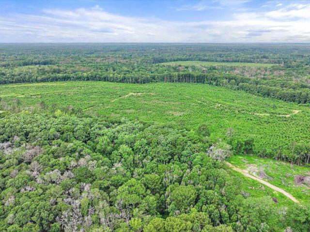 Land for sale in Georgetown, Mississippi