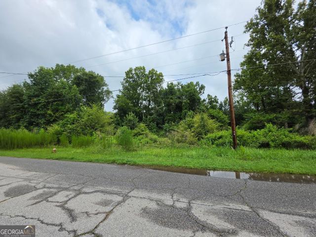 Land for sale in Warm Springs, Georgia
