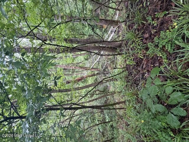 Land for sale in Potts Camp, Mississippi