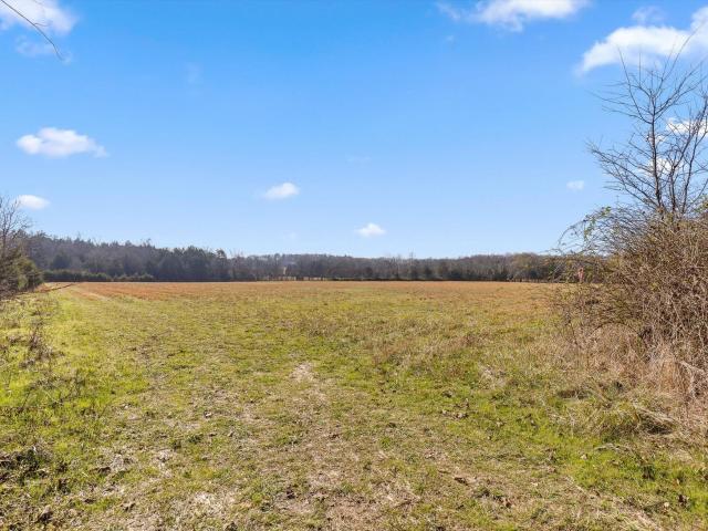 Farm for sale in Chickamauga, Georgia