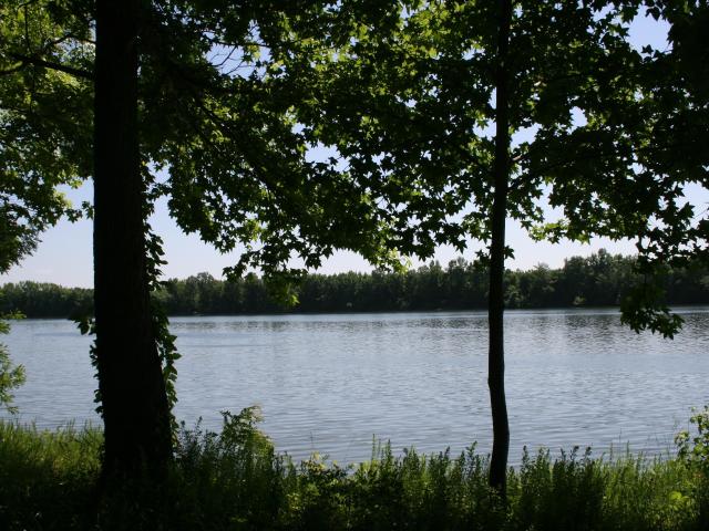 Land for sale in Tennessee