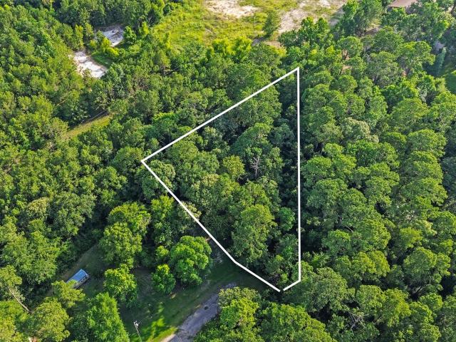 Land for sale in Onalaska, Polk County