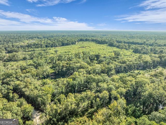 Land for sale in Jesup, Georgia