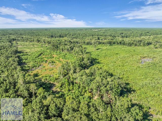 Land for sale in Jesup, Georgia