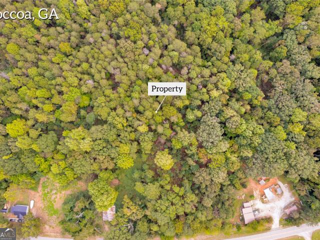 Land for sale in Toccoa, Georgia