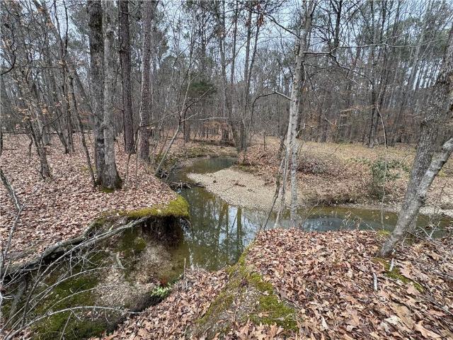 Land for sale in Lindale, Georgia