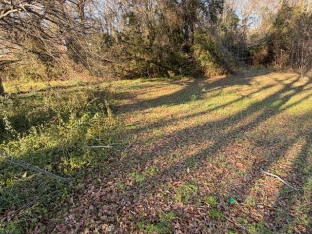Land for sale in Elbert, Georgia