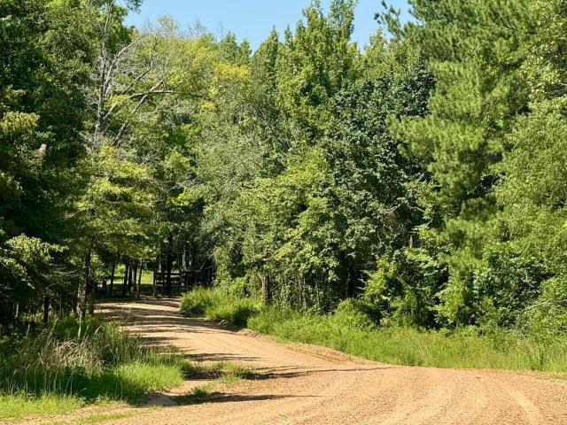 Land for sale in Wesson, Mississippi