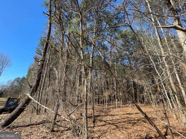 Land for sale in Covington, Georgia
